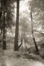 Natures - display this album Natures